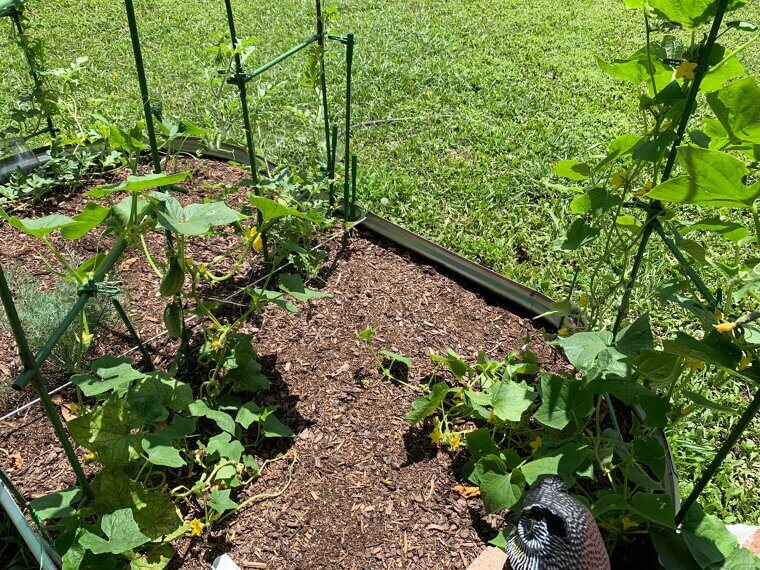 Smart Irrigation Systems