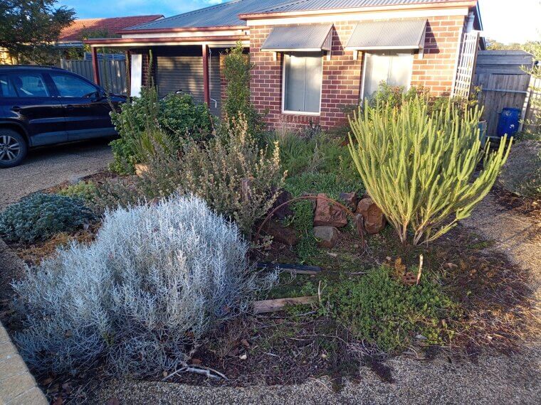 Low-Maintenance Landscaping