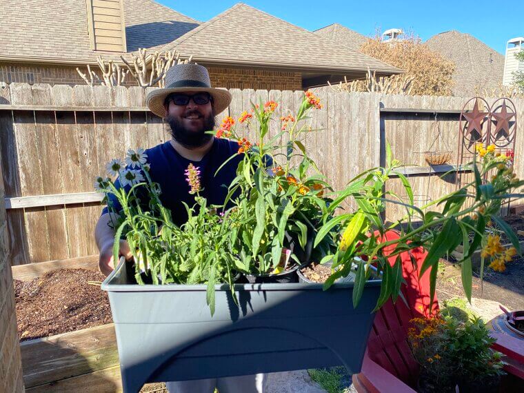 Butterfly or Pollinator Gardens