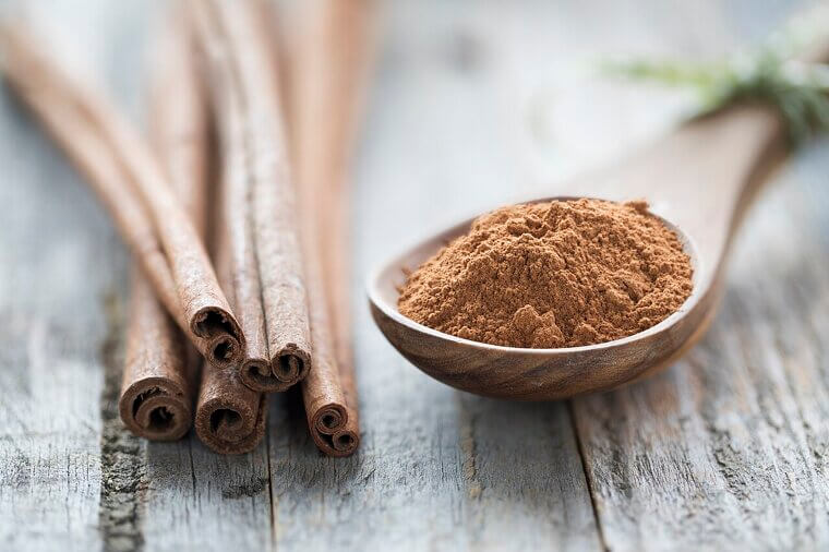 Cinnamon as an Ant Deterrent