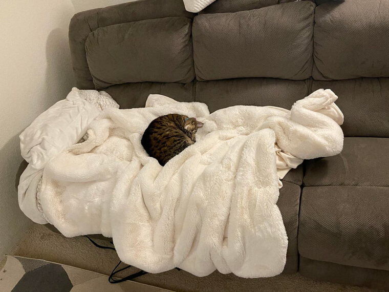 A Warm Throw Blanket With a Soft Texture