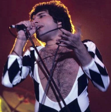 Freddie Mercury (Queen) - Airport Baggage Handler