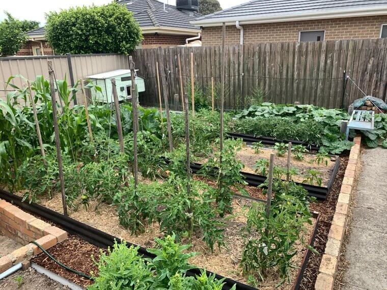 Grow Your Own Goodies