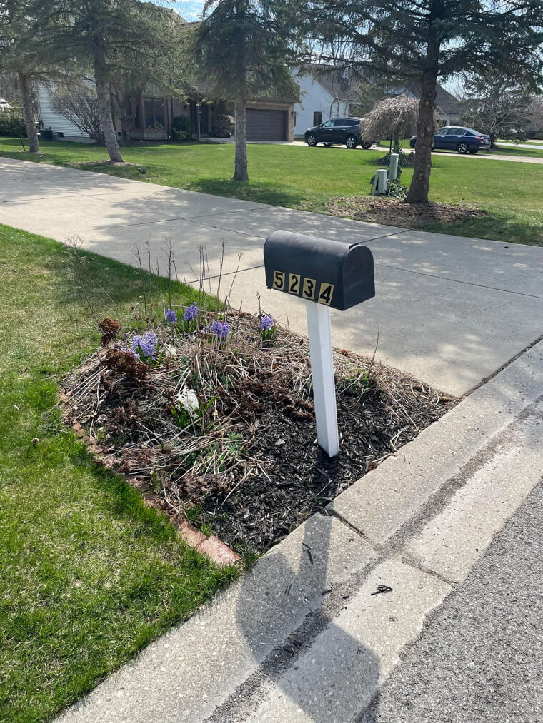 Neglecting to Trim the Grass Around the Mailbox