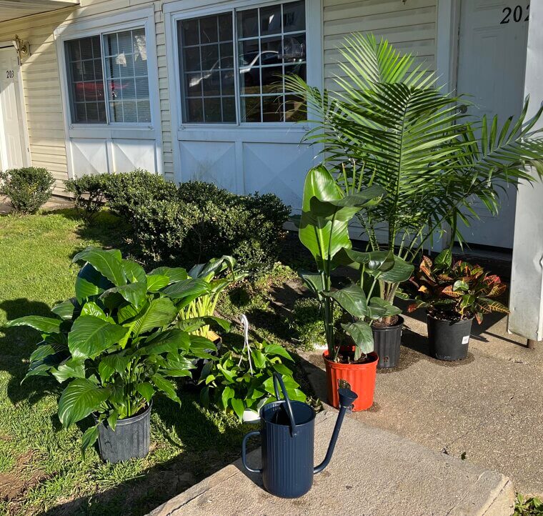 Leaving Empty Flower Pots and Dead Plants on the Porch