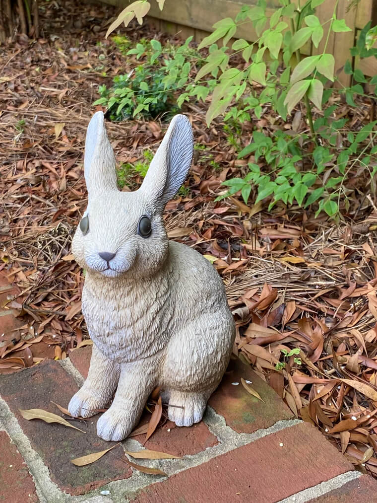 The Silent Competition of Lawn Ornaments and Statues