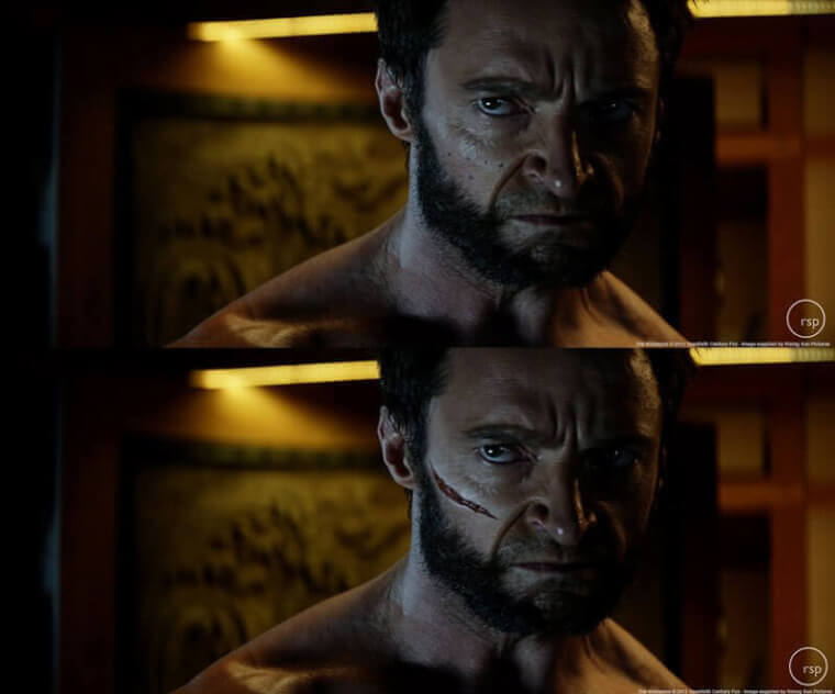 THE Wolverine