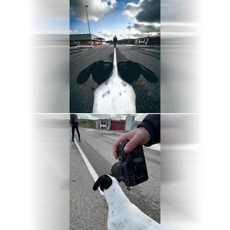 Align Everything Perfectly for a Stunning Visual Effect