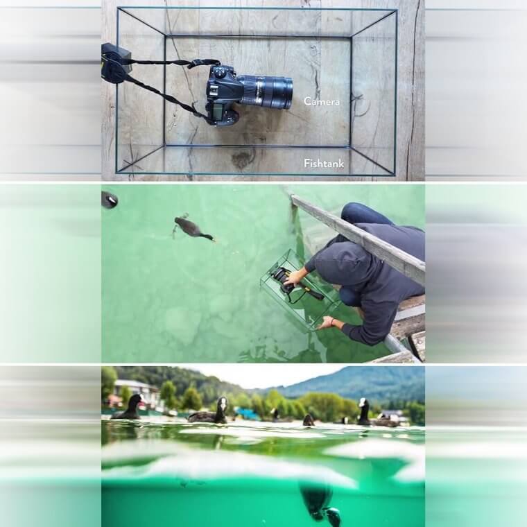 Place Your Camera in a Fish Tank for Underwater Shots