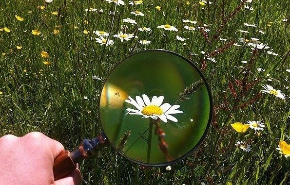 Use a Magnifying Glass to Replicate a Macro Lens