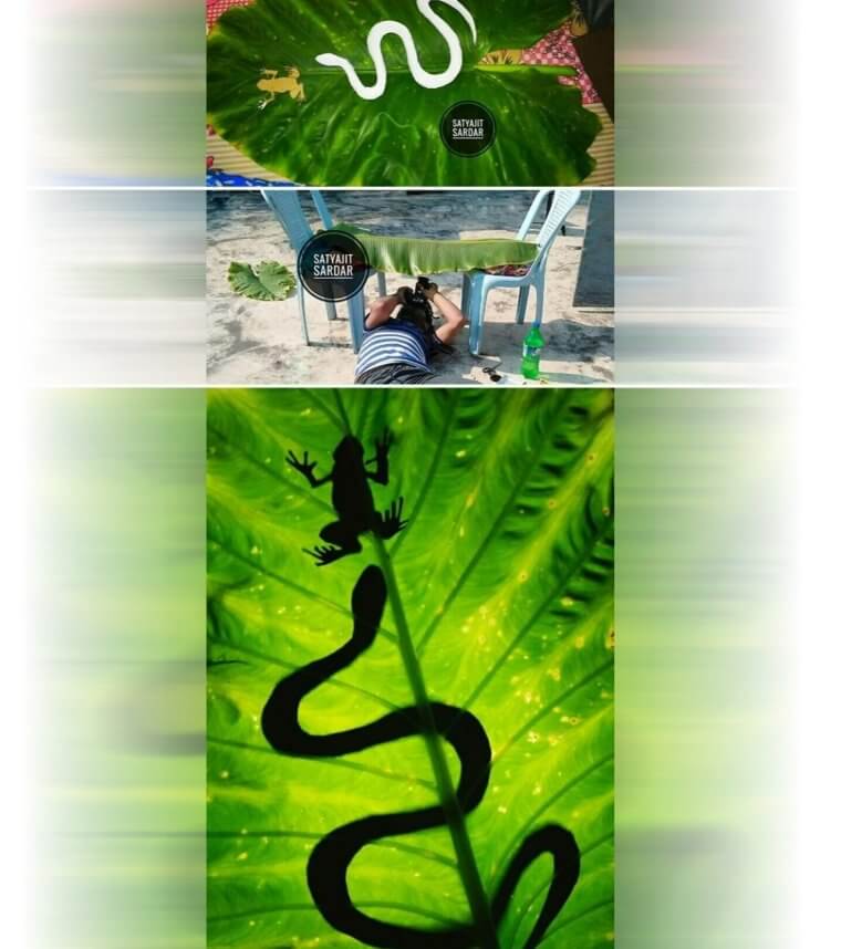 Fake Wildflife Photography With Plastic Props