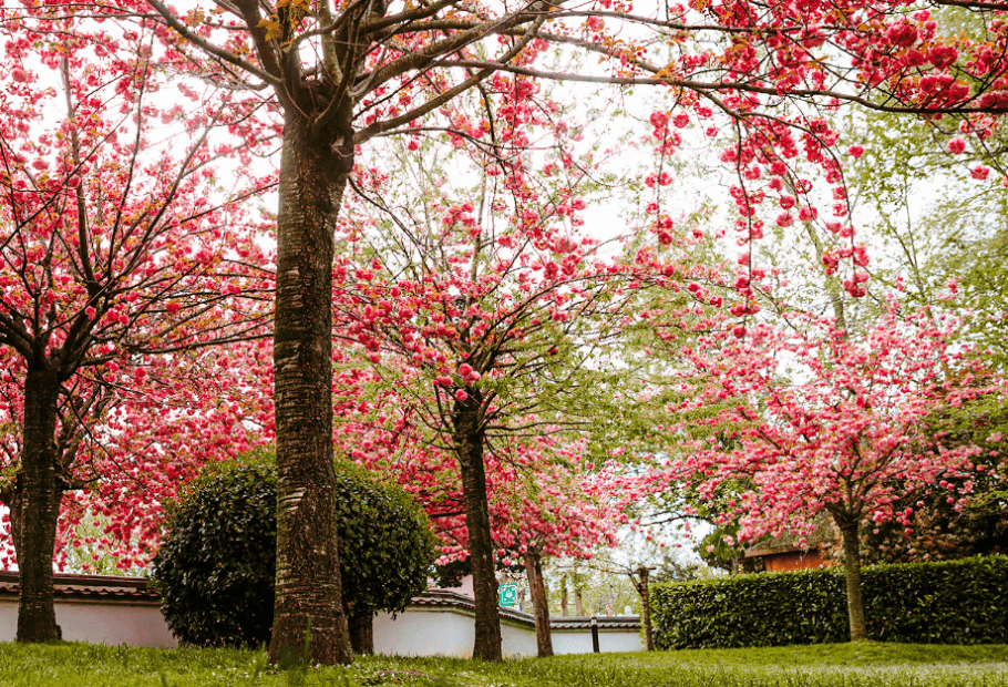 How You Can Embrace the Seasons in Your Outdoor Haven