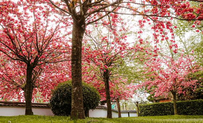 How You Can Embrace the Seasons in Your Outdoor Haven