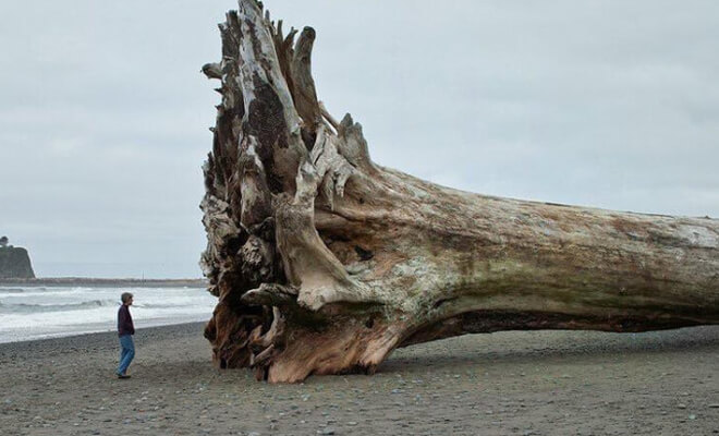 Huge and Imposing Objects That Will Bring Out the Megalophobia in Anyone