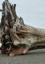 Huge and Imposing Objects That Will Bring Out the Megalophobia in Anyone