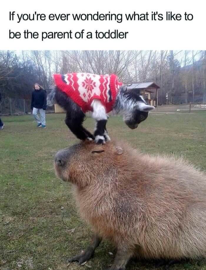 Please Get Off