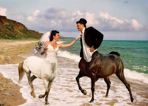 38 Fotos de Casamento Que Irão Te Fazer Rir Até Nas Calças