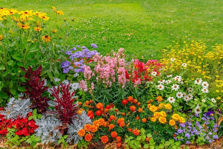 I fiori male assortiti possono essere un pasticcio disordinato