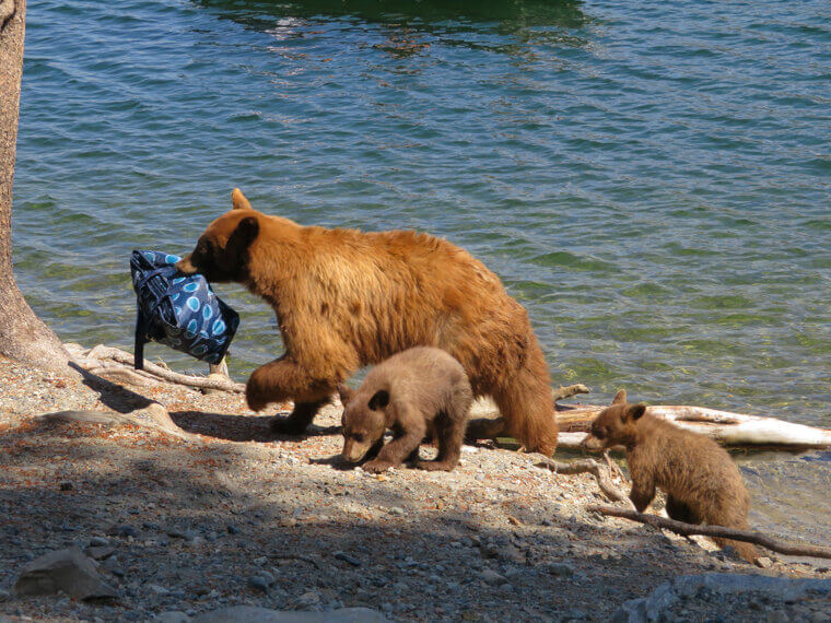 Fisherman to the Rescue