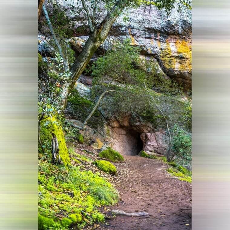 A Load Roar Was Heard