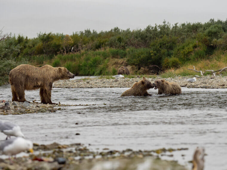 The Mother Was Watching