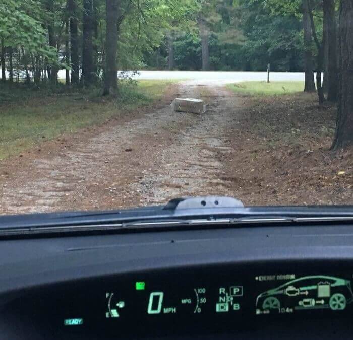 The Package Was Marked Delivered, But It Got Dropped In The Middle Of The Woods
