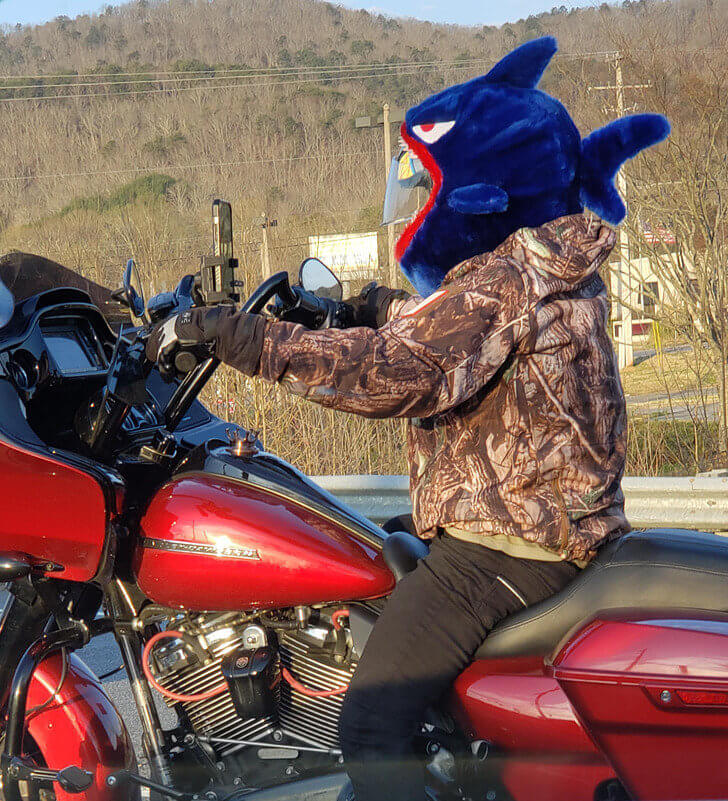 A Person Pulled Up in a Shark Helmet