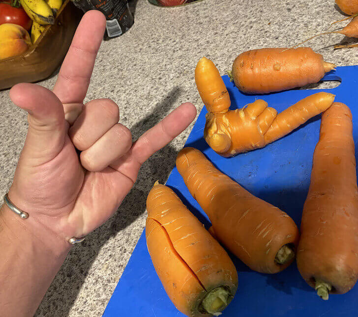 This Guy Shared a Moment With a Carrot