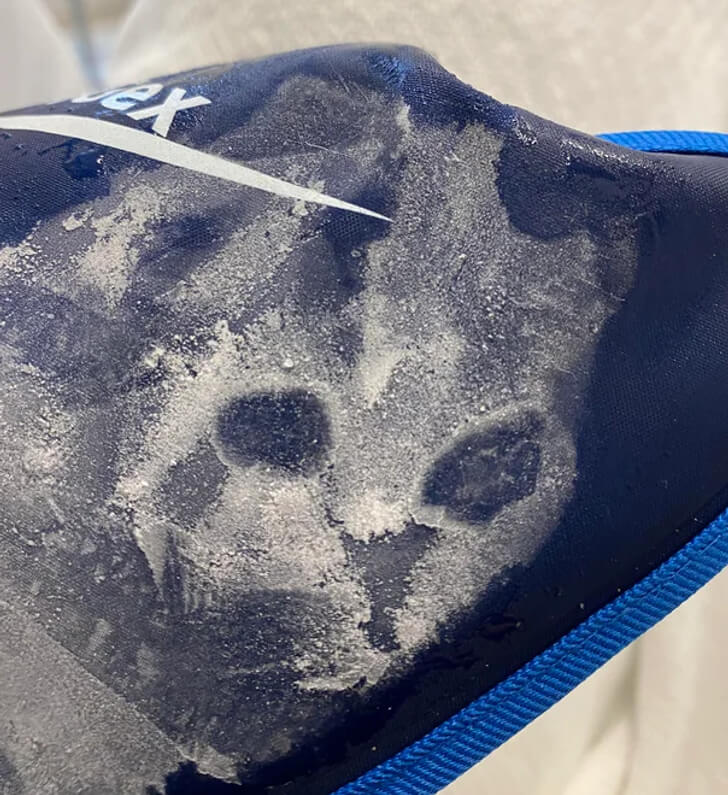 Frost That Looks Like a Cat