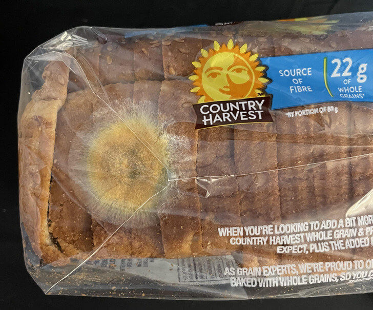 This Bread Grew Mold That Looks Like a Sun