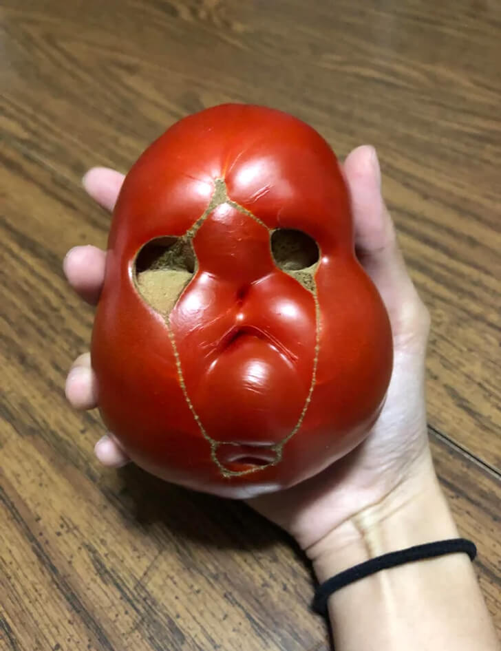 This Tomato Might Be Haunted
