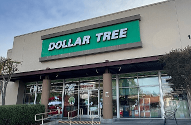 8 Must-Have Car Accessories From Dollar Tree