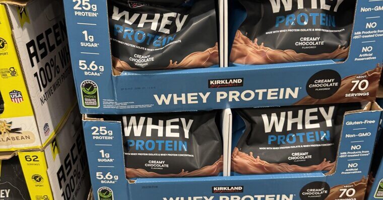 Protein Powder
