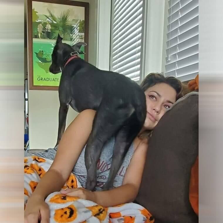 Le chien qui n'a pas d'espace personnel