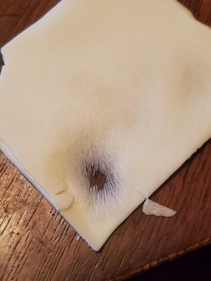 Что Оставляет После Себя Кошачий Язык