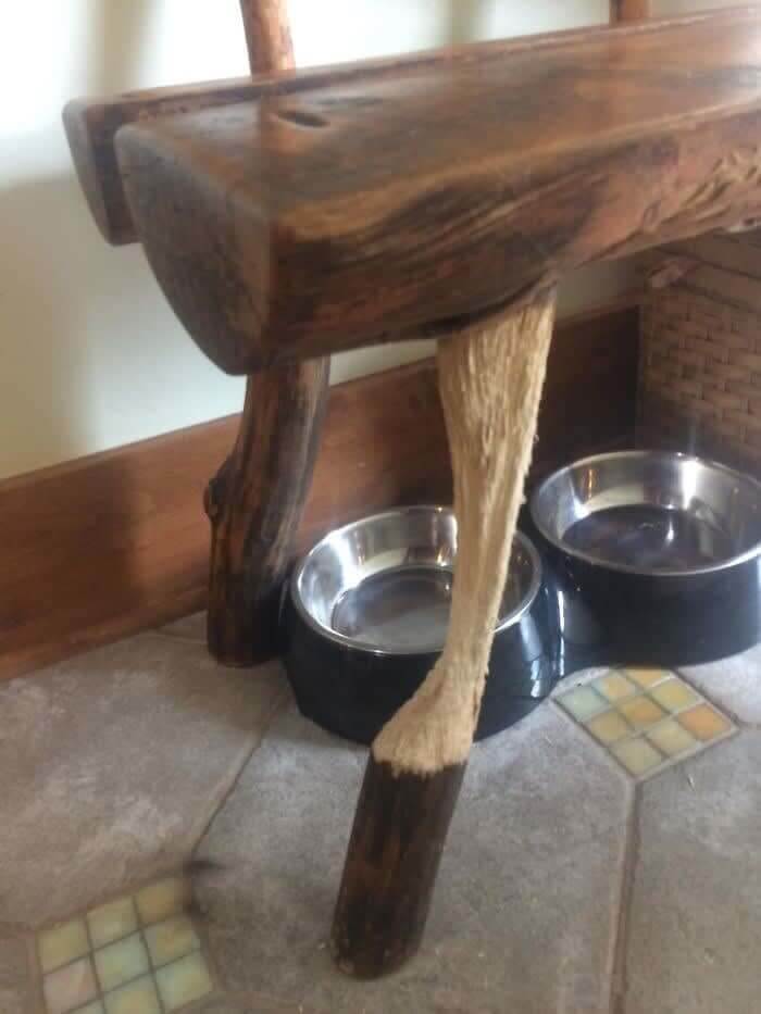 愛猫が大工になったら