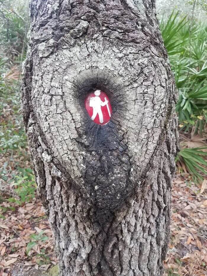 Когда Природа Начинает Поощрять Пешие Прогулки