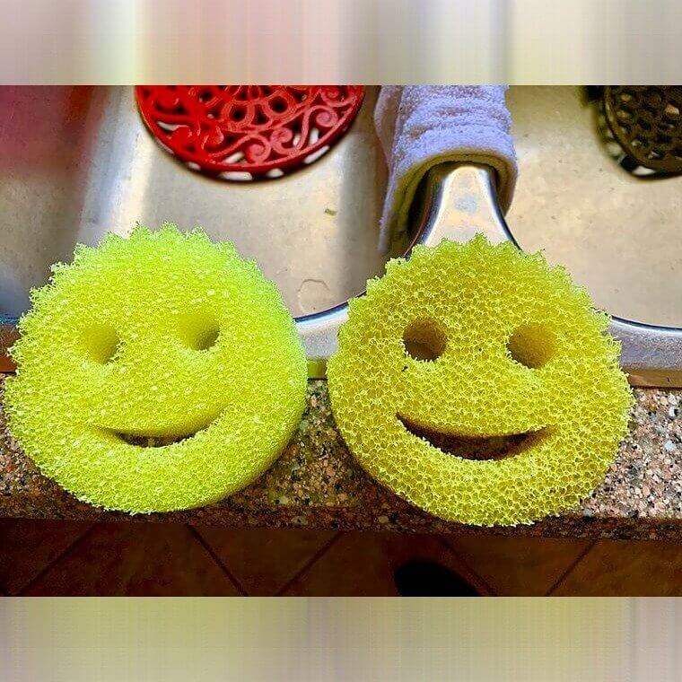 Esponjas
