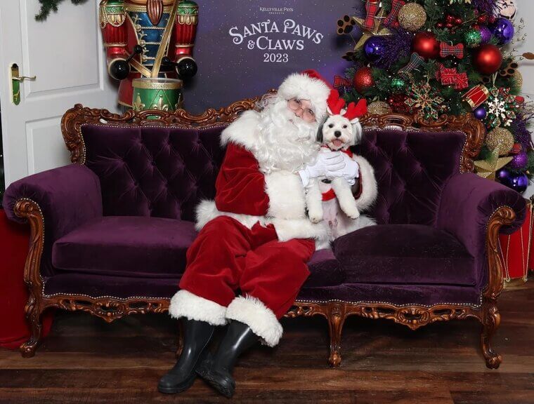 ​The Pressure to Be “Festive” 24/7