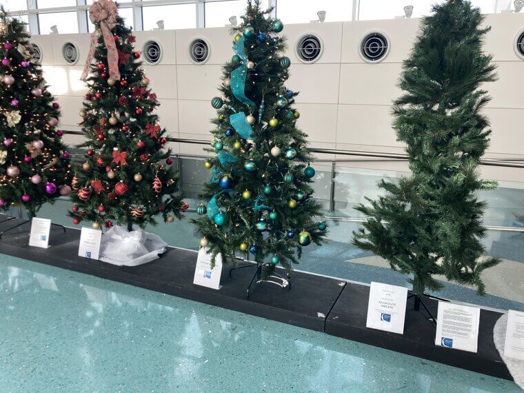 ​The Expensive Holiday Travel