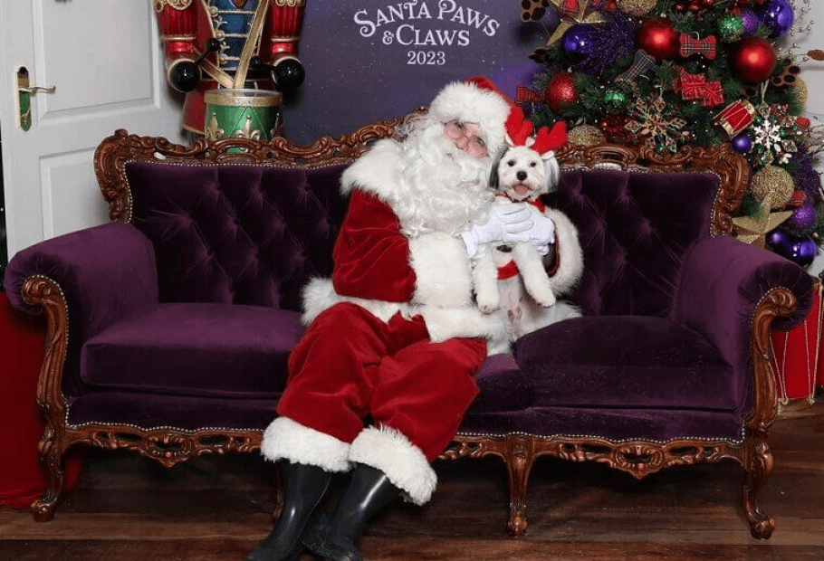 The Things People Pretend They Love About Christmas but Really Don’t