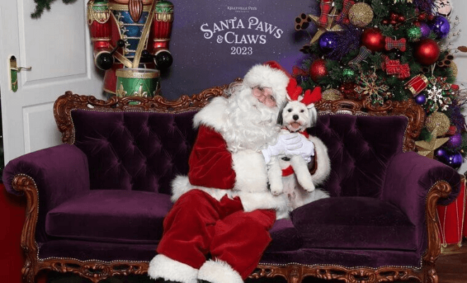 The Things People Pretend They Love About Christmas but Really Don’t