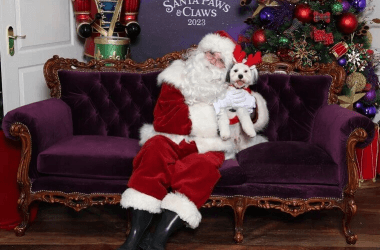 The Things People Pretend They Love About Christmas but Really Don’t