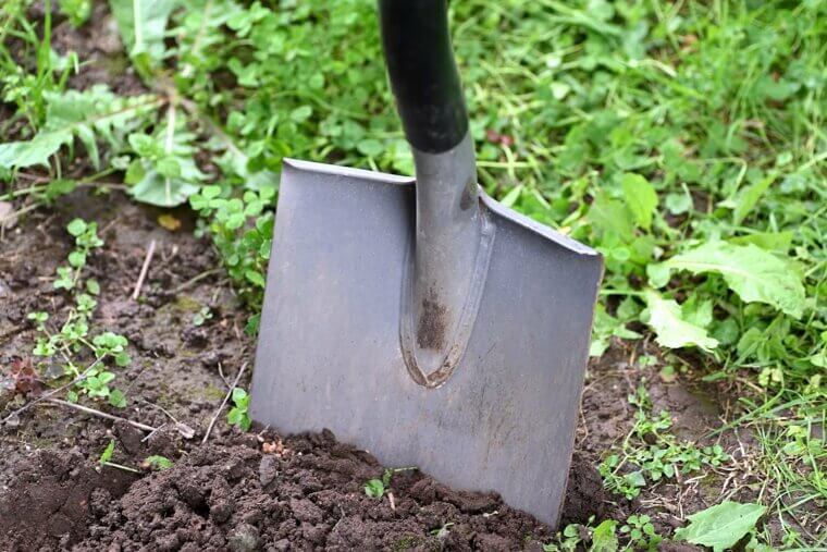 Chance of Finding Hidden Treasure