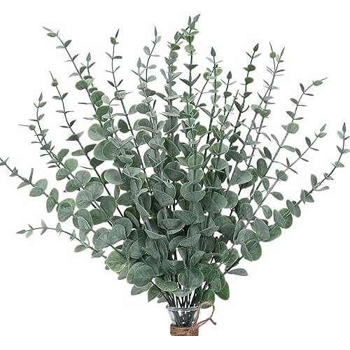 Elegant Eucalyptus Stems that Add Natural Beauty Everywhere. 