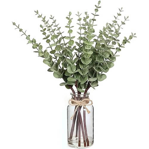 Elegant Eucalyptus Stems in Vase that Add Natural Beauty. 