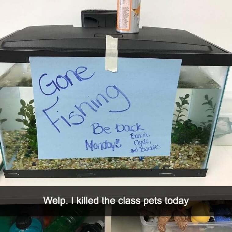 Bonnie & Clyde Sleep With The Fishes