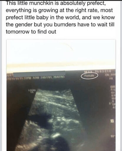 The Cat's Out of the Bag