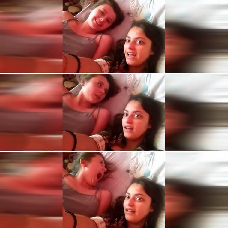 The Itsy Bitsy Spider