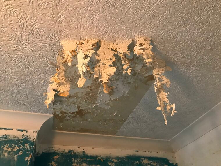 The Ceiling Statement